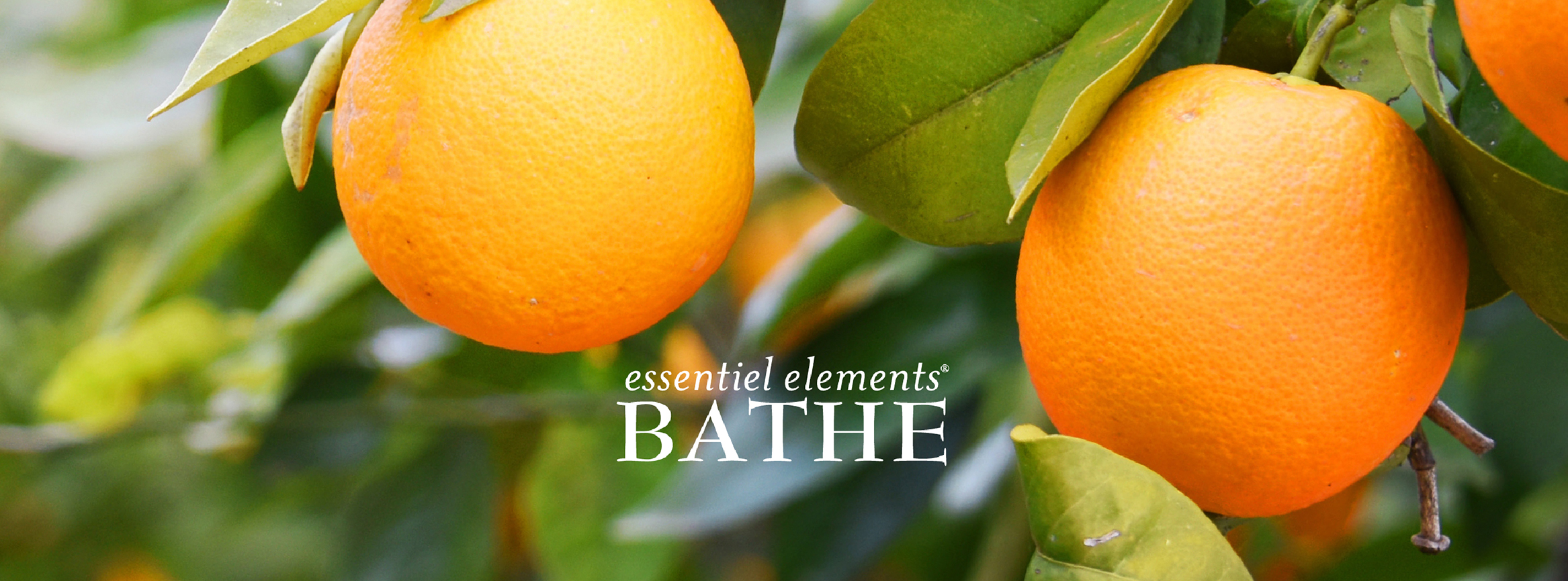 Personal Care Amenities