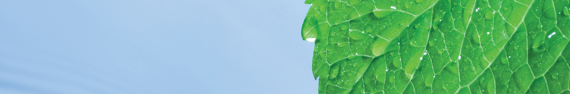 Sustainable Products